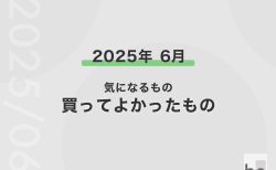 【2025年6月】気になるものと買ったもの