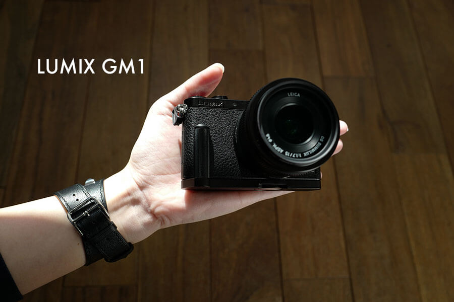 在庫有即出荷 Panasonic LUMIX パナソニック　ルミックス　DMG-GM1 デジタルカメラ