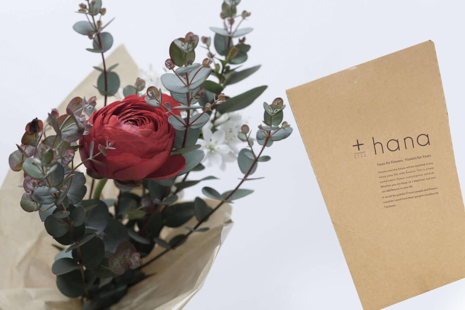 【半年レビュー】タスハナ（+hana）はおしゃれなお花がポストに届く定期便！お花のチョイスが素敵です